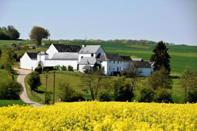 La Ferme De Basseilles Guest House Mozet Exterior photo